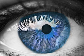 interactive eye